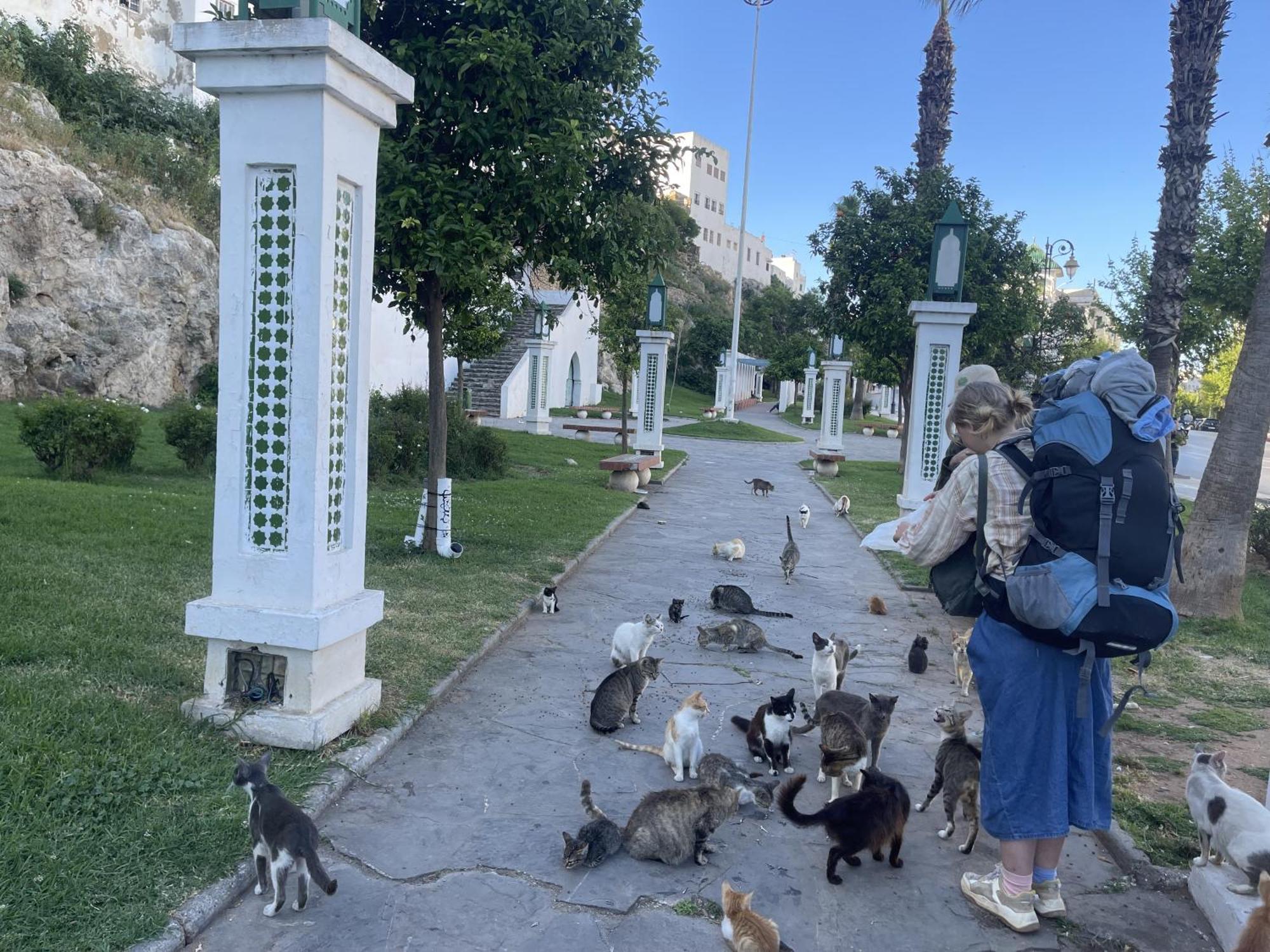 Tétouan Casa Marwanホステル エクステリア 写真