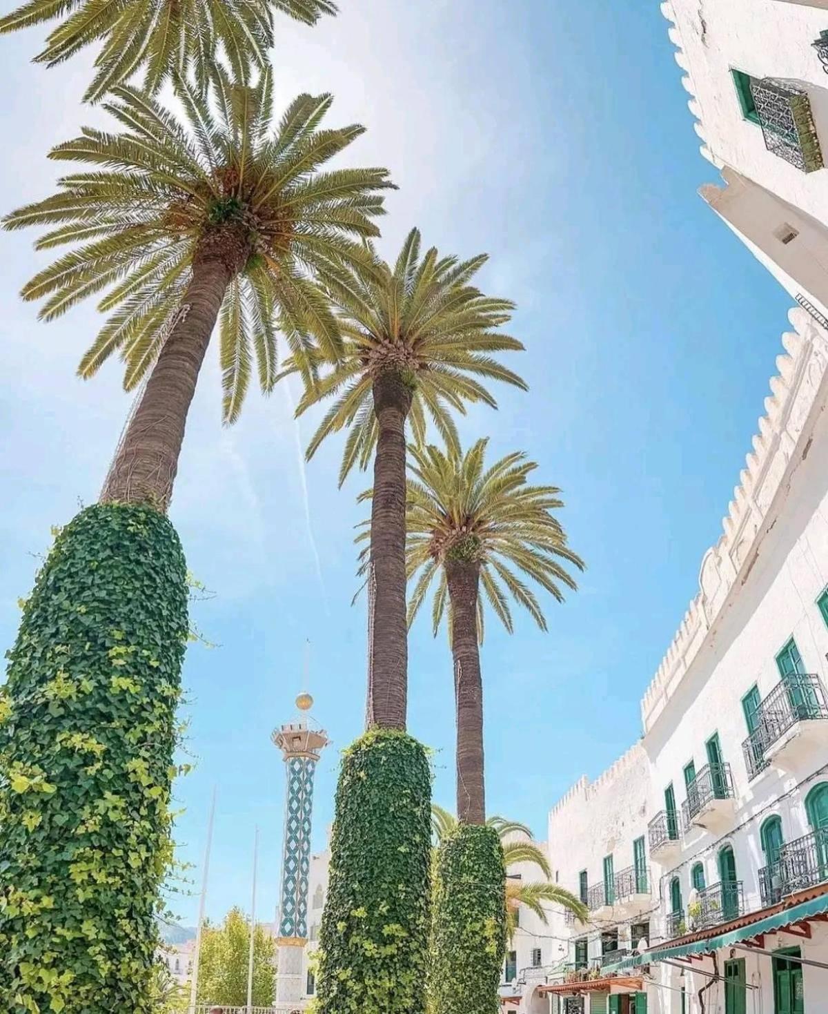 Tétouan Casa Marwanホステル エクステリア 写真