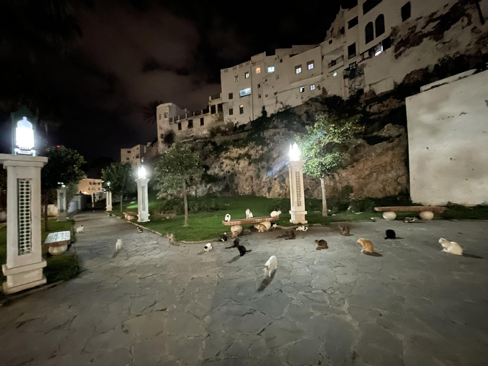 Tétouan Casa Marwanホステル エクステリア 写真