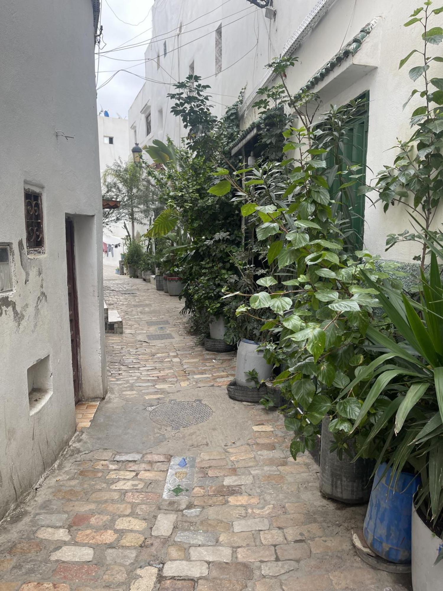 Tétouan Casa Marwanホステル エクステリア 写真